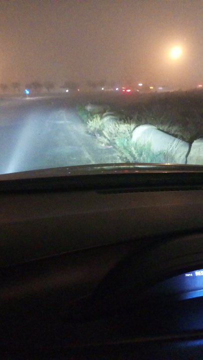 مشاركاتي في أنت الراصد