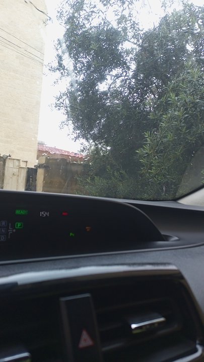 مشاركاتي في أنت الراصد