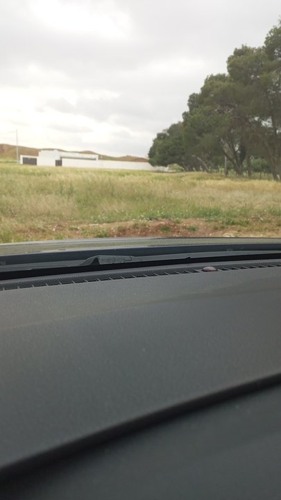 مشاركاتي في أنت الراصد