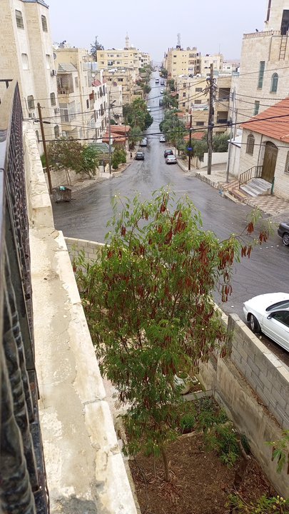 مشاركاتي في أنت الراصد