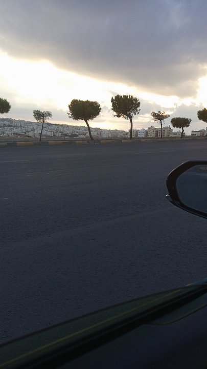 مشاركاتي في أنت الراصد