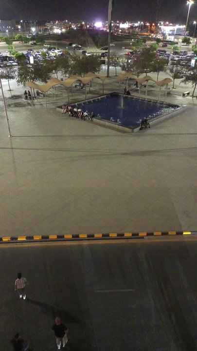 مشاركاتي في أنت الراصد