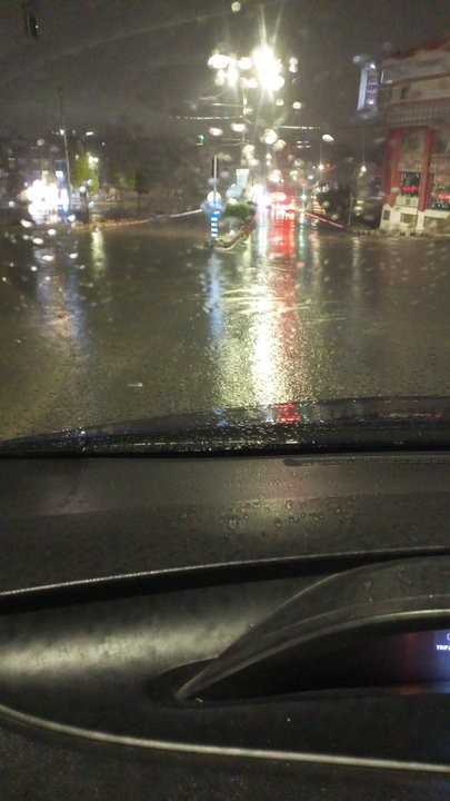 مشاركاتي في أنت الراصد