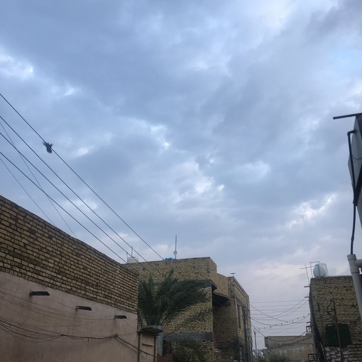 مشاركاتي في أنت الراصد