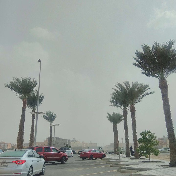 مشاركاتي في أنت الراصد