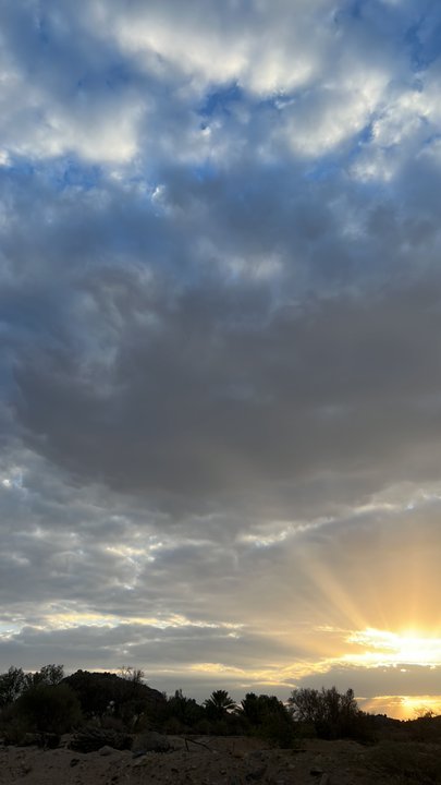 مشاركاتي في أنت الراصد