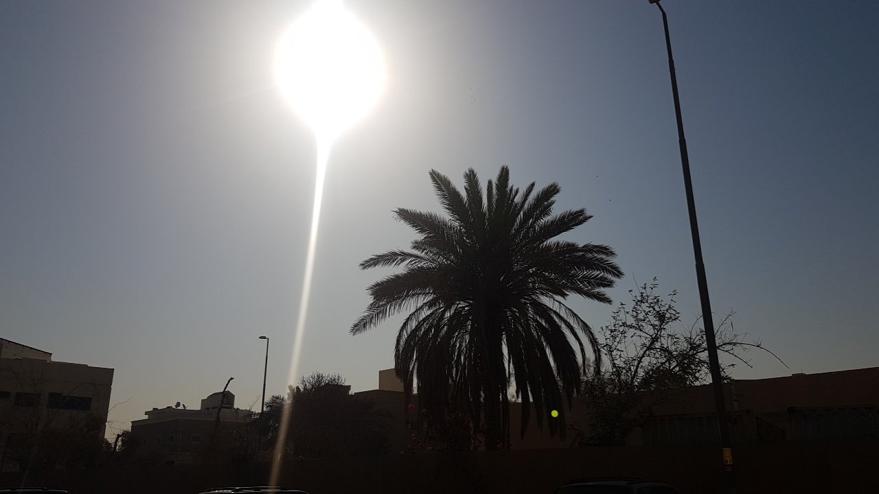 مشاركاتي في أنت الراصد