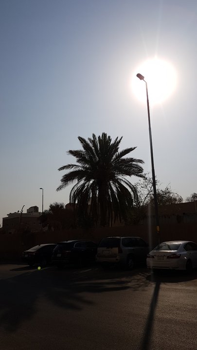 مشاركاتي في أنت الراصد