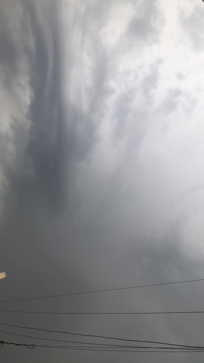 مشاركاتي في أنت الراصد