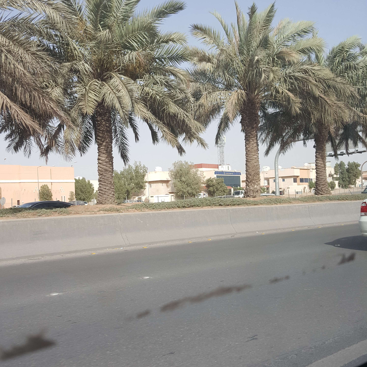 مشاركاتي في أنت الراصد