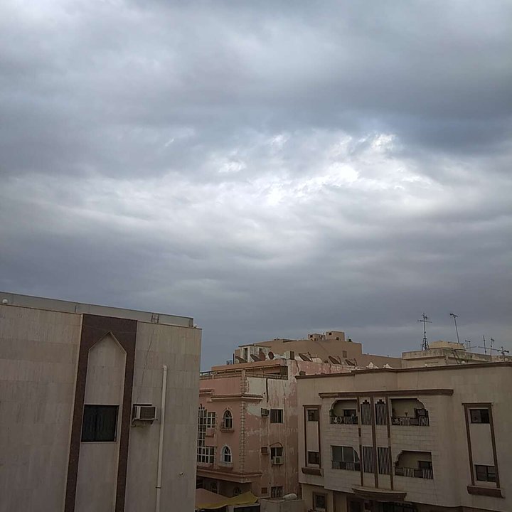 مشاركاتي في أنت الراصد