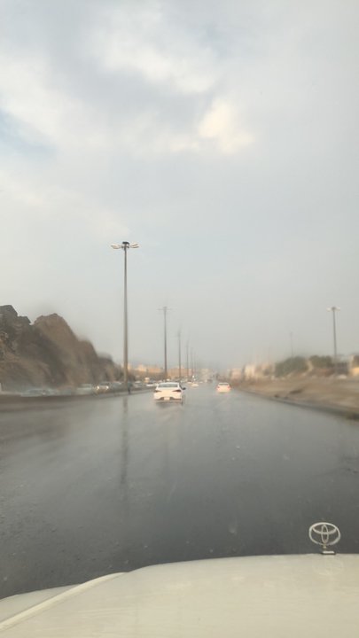 مشاركاتي في أنت الراصد