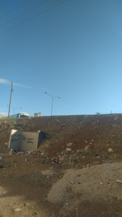 مشاركاتي في أنت الراصد