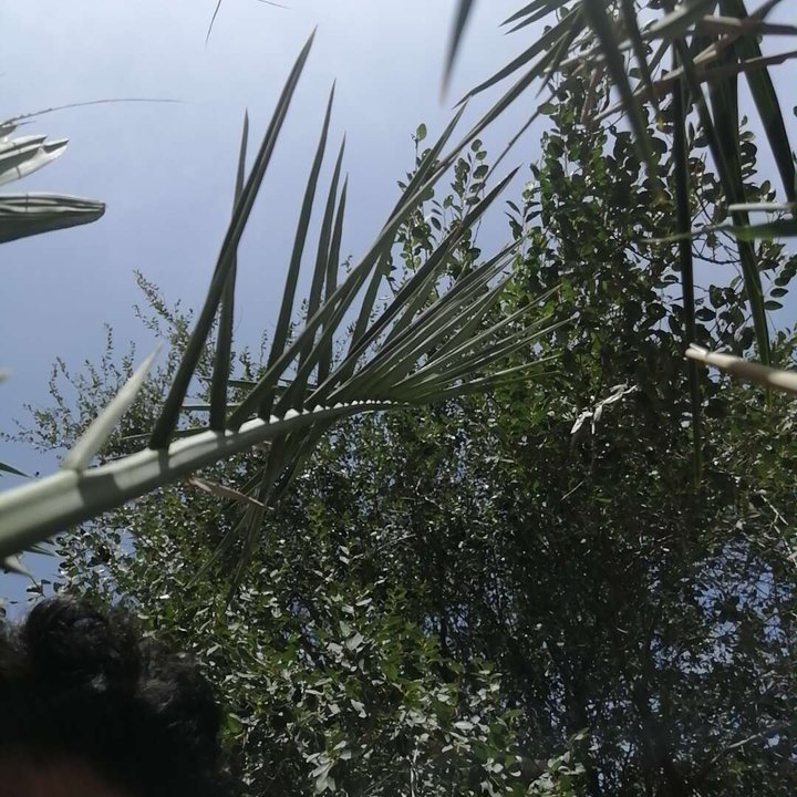 مشاركاتي في أنت الراصد