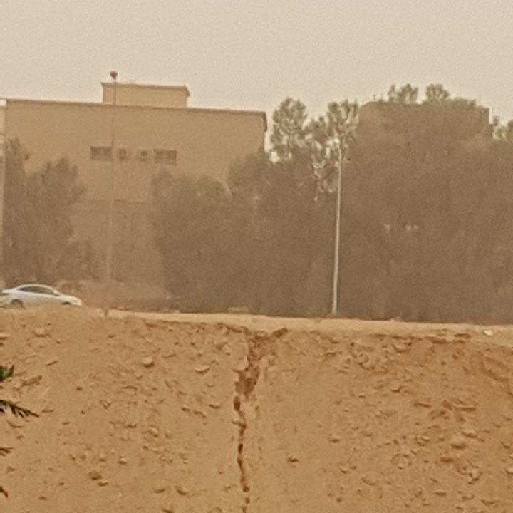 مشاركاتي في أنت الراصد