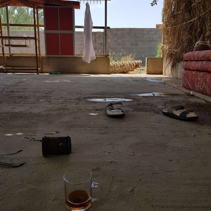 مشاركاتي في أنت الراصد