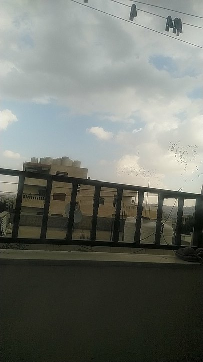 مشاركاتي في أنت الراصد