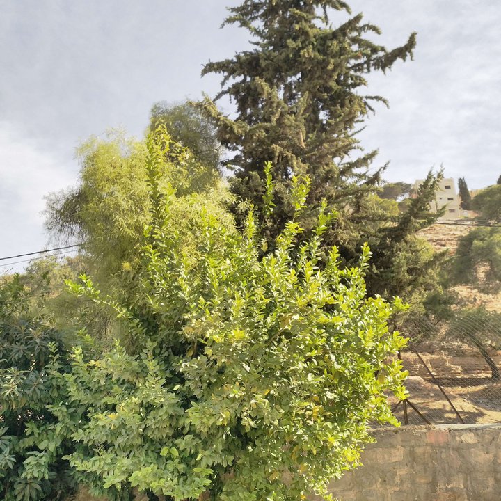 My Crowdsourcing Posts