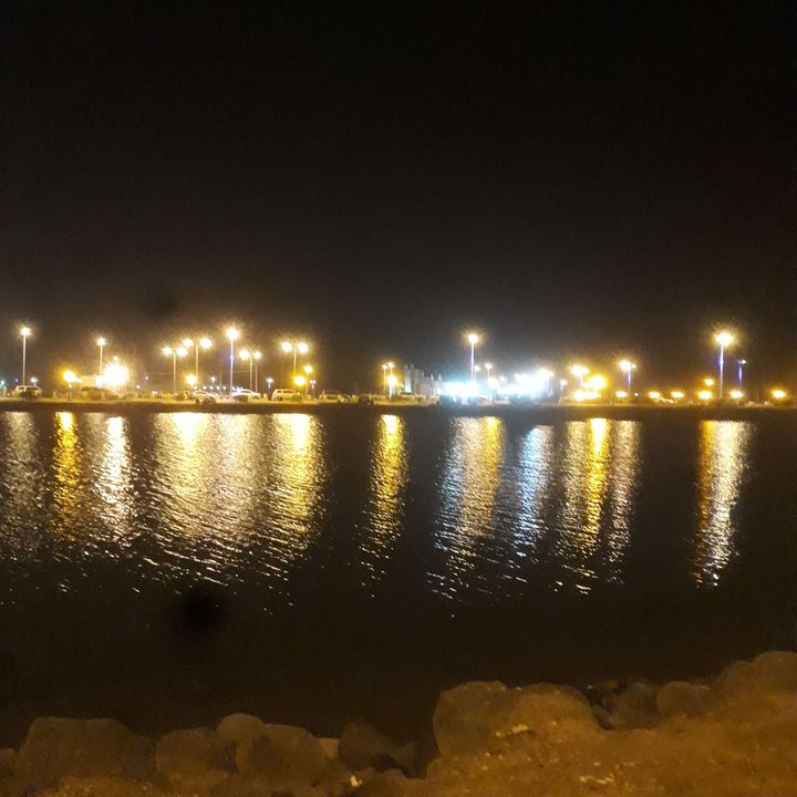 مشاركاتي في أنت الراصد