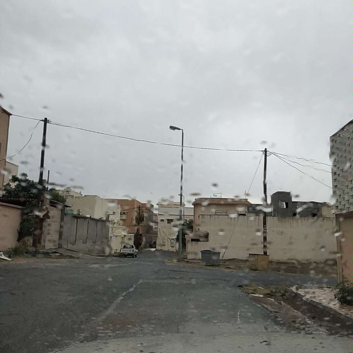 مشاركاتي في أنت الراصد