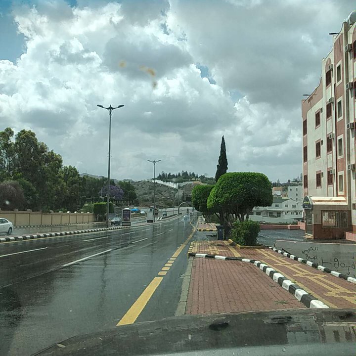 مشاركاتي في أنت الراصد