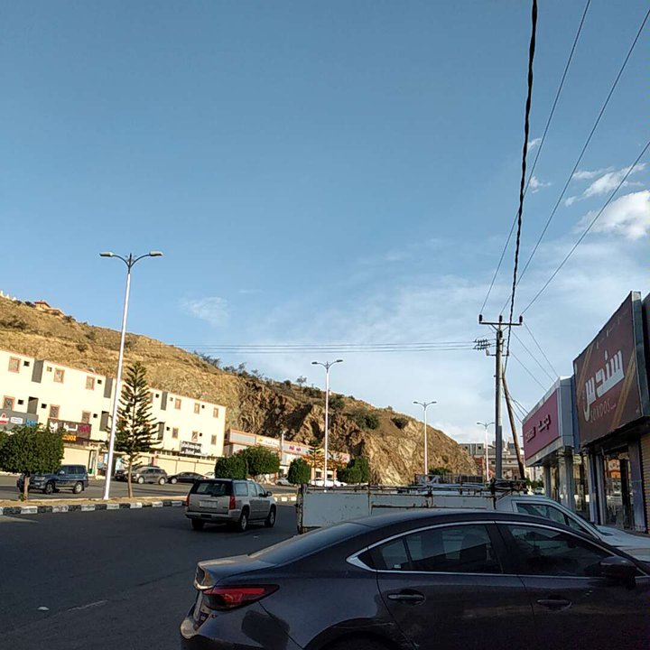 مشاركاتي في أنت الراصد