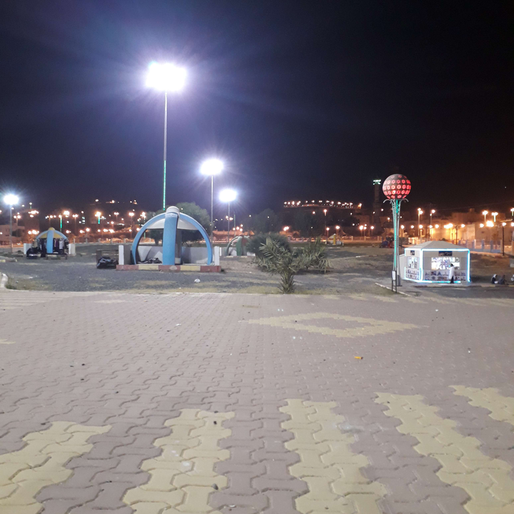 مشاركاتي في أنت الراصد