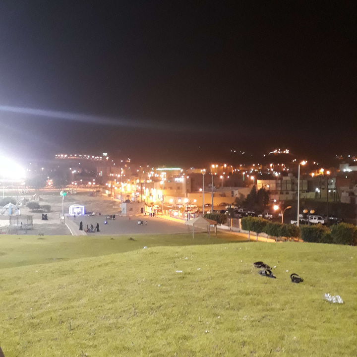 مشاركاتي في أنت الراصد