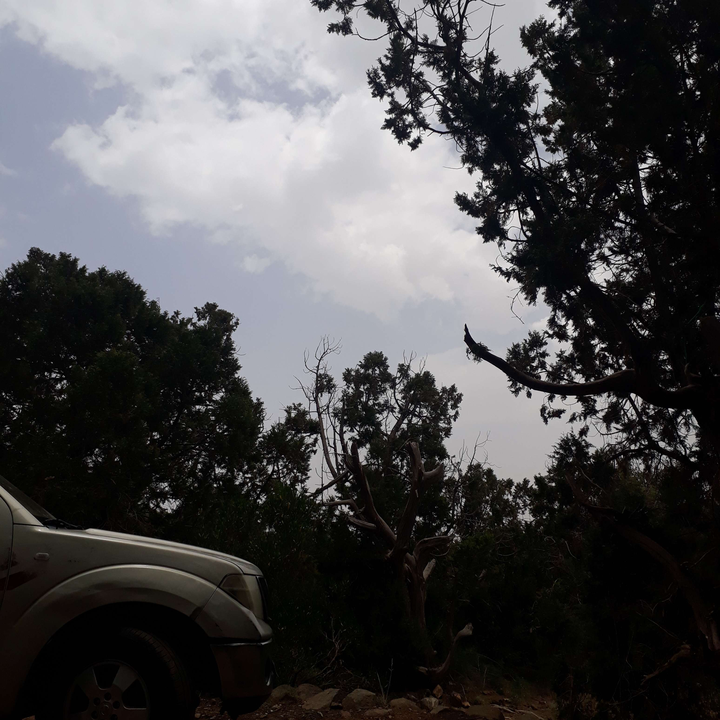 مشاركاتي في أنت الراصد