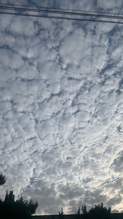 مشاركاتي في أنت الراصد