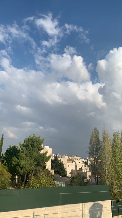 مشاركاتي في أنت الراصد