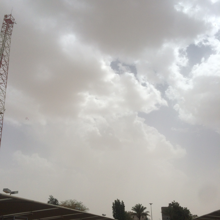 مشاركاتي في أنت الراصد