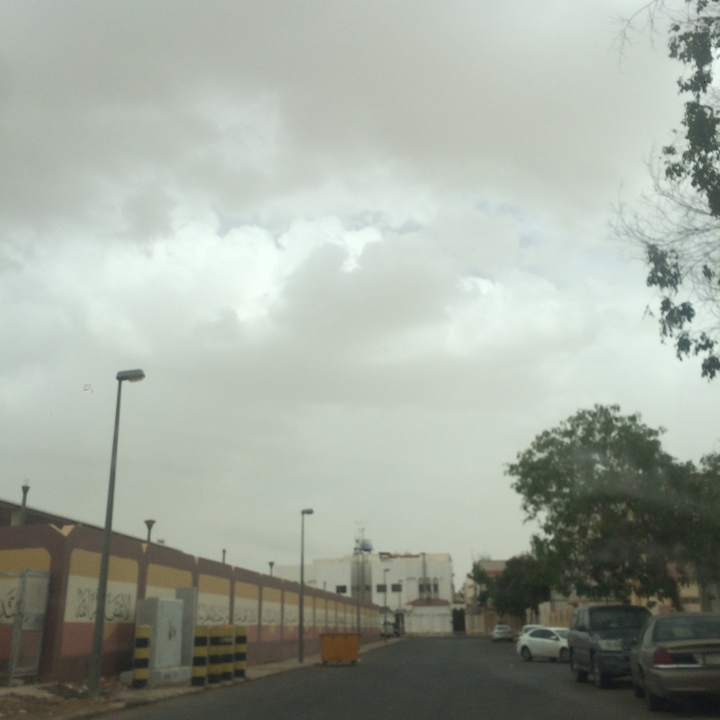 مشاركاتي في أنت الراصد