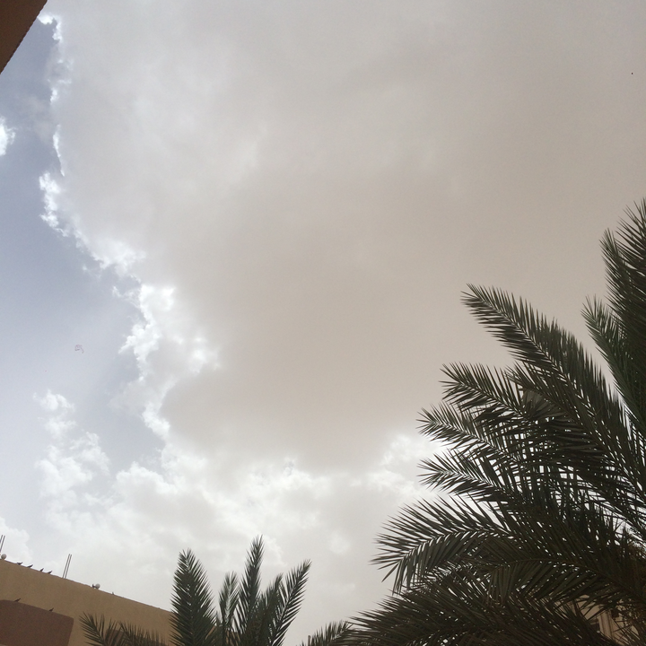 مشاركاتي في أنت الراصد