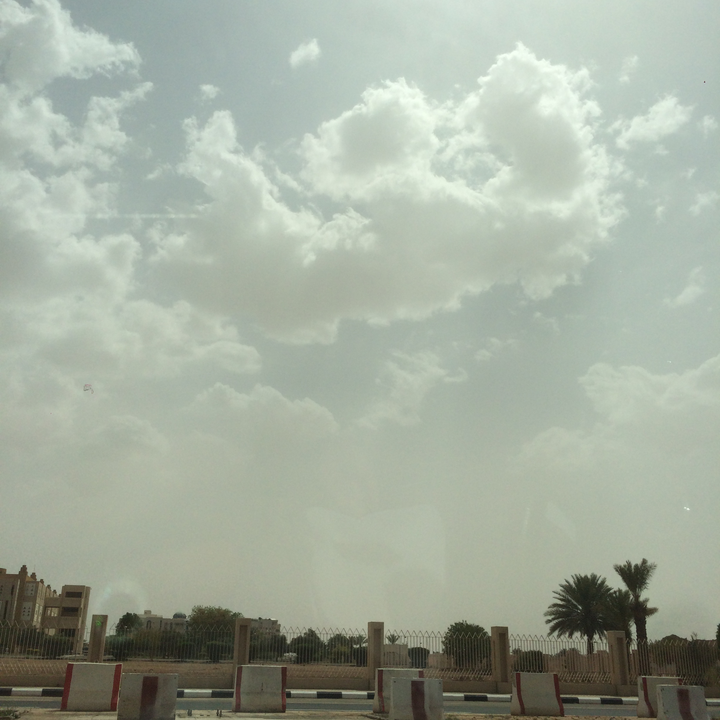 مشاركاتي في أنت الراصد