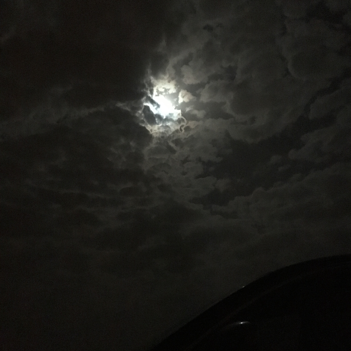 مشاركاتي في أنت الراصد