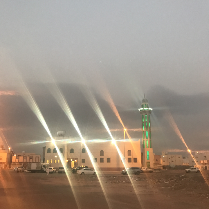 مشاركاتي في أنت الراصد