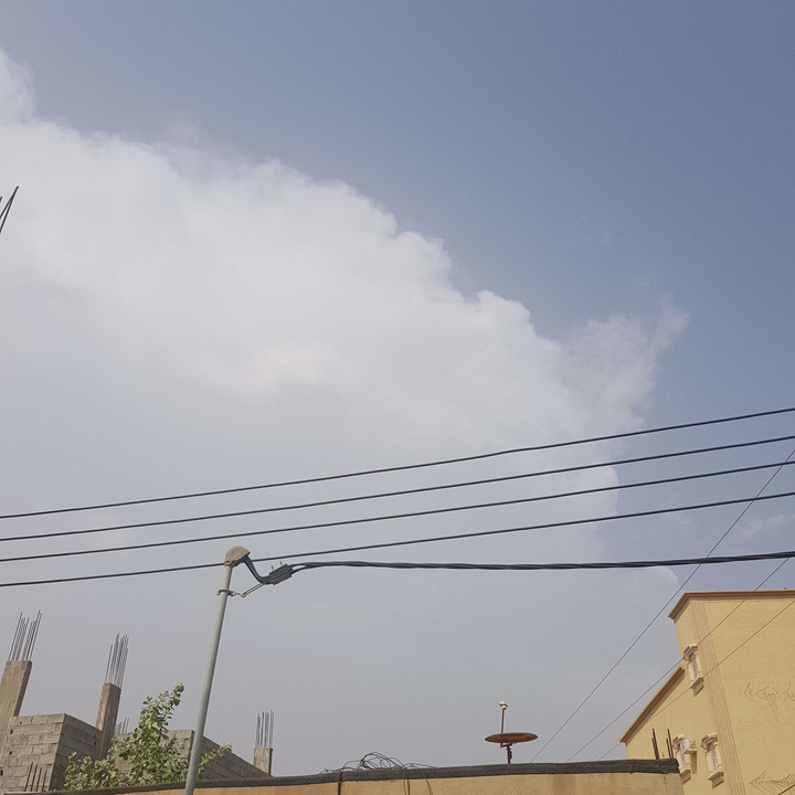 مشاركاتي في أنت الراصد