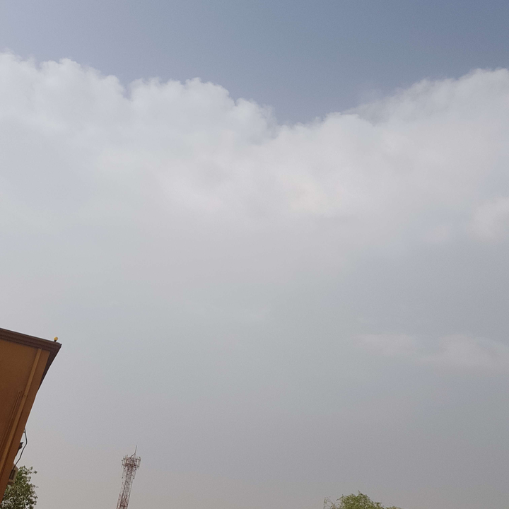 مشاركاتي في أنت الراصد