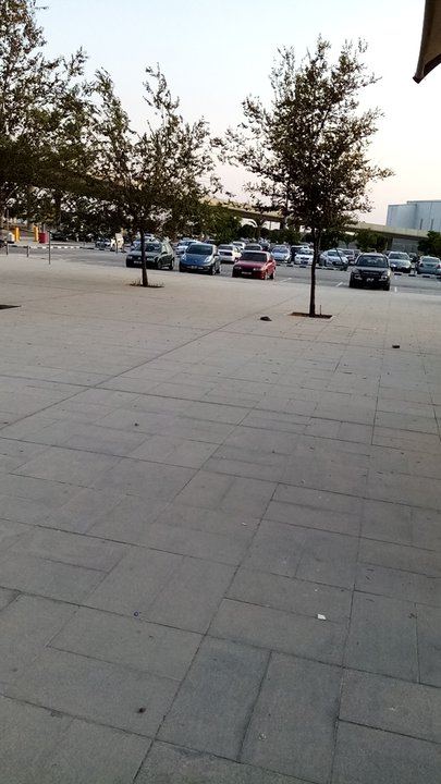 مشاركاتي في أنت الراصد