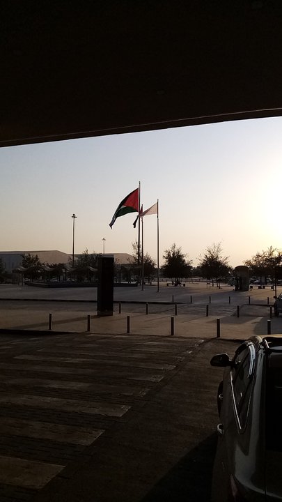 مشاركاتي في أنت الراصد