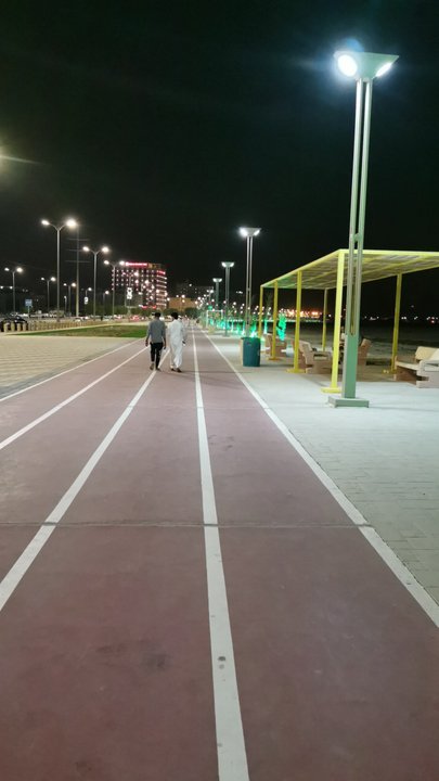 مشاركاتي في أنت الراصد