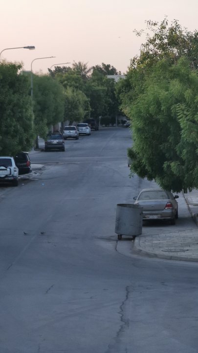 مشاركاتي في أنت الراصد