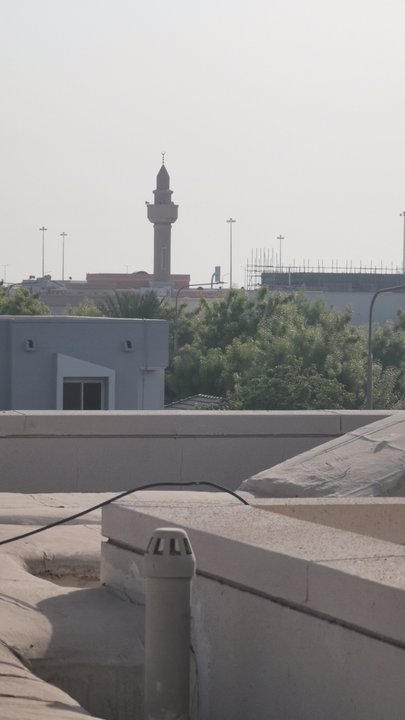 مشاركاتي في أنت الراصد