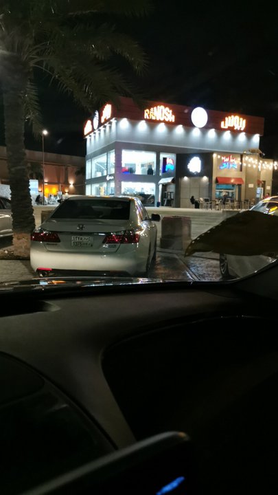 مشاركاتي في أنت الراصد