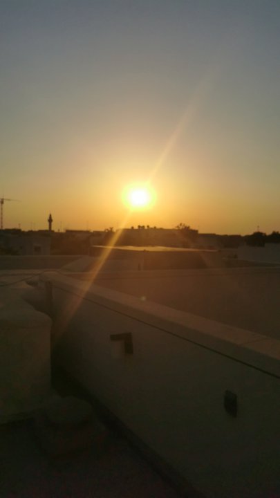 مشاركاتي في أنت الراصد