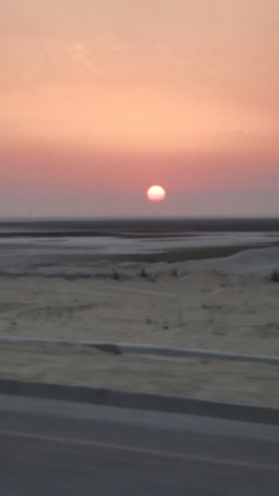 مشاركاتي في أنت الراصد