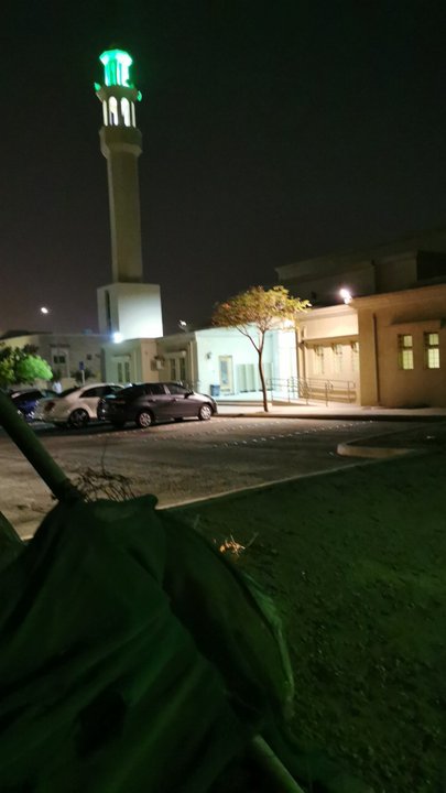 مشاركاتي في أنت الراصد