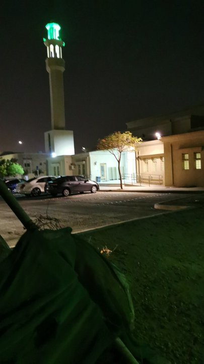 مشاركاتي في أنت الراصد