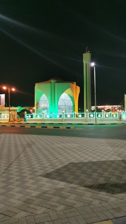 مشاركاتي في أنت الراصد